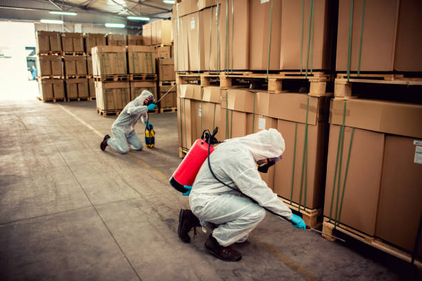 Best Affordable Pest Control Services  in Pulaski, TN