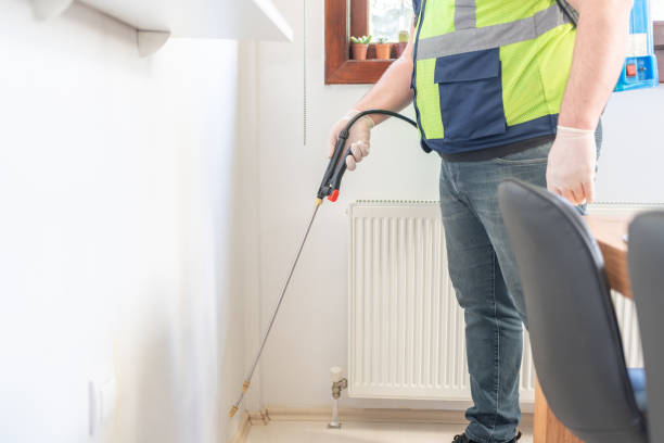 Wasp Removal Services in Pulaski, TN