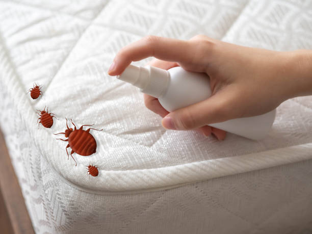 Best Pest Control Near Me in Pulaski, TN