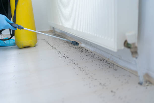 Professional Pest Control in Pulaski, TN