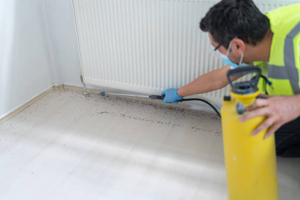 Professional Pest Control in Pulaski, TN