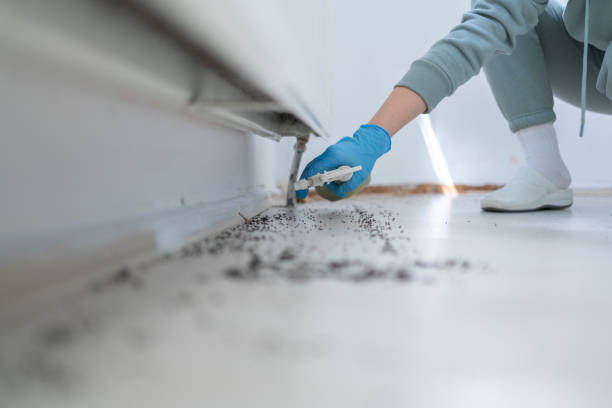 Pest Control Cost in Pulaski, TN